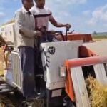 मुरगूड परिसरात यंत्राच्या सहाय्याने भाताची मळणी…